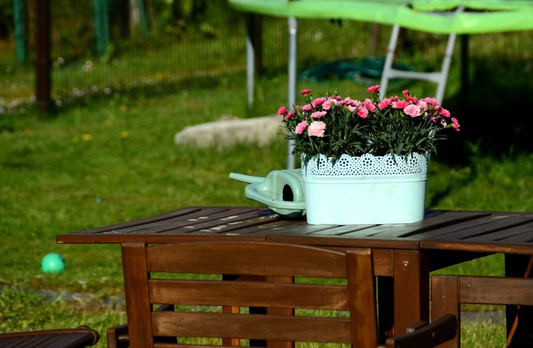 Les 8 Meilleures Activités Physiques en Plein Air Avec des Objets Domestiques