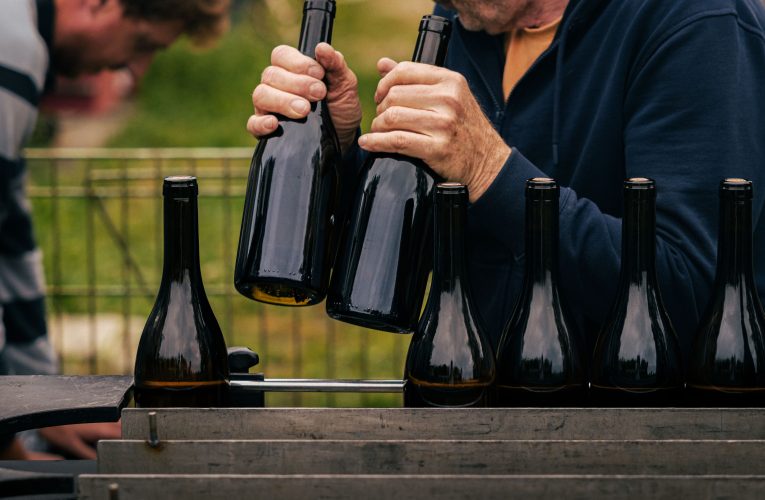 Les 8 Meilleurs Livres de Guide sur le Vignoble et la Vinification Traditionnelle