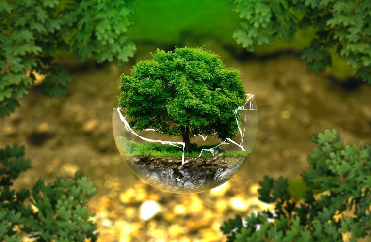 Les 8 Meilleures Politiques de L&rsquo;Agriculture Durable et de Conservation des Sols